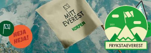 Mount Fryksta